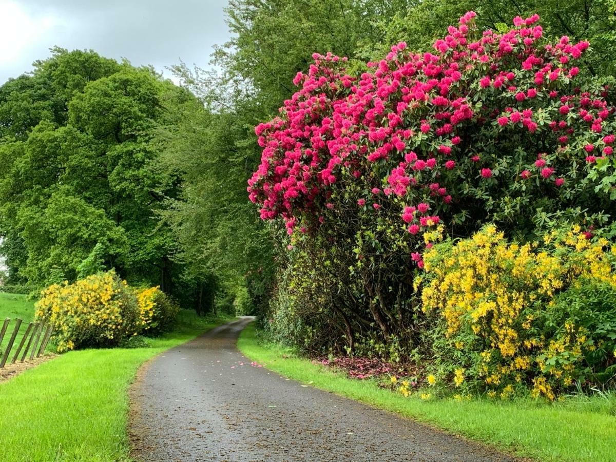 West Plean House Bed and Breakfast Stirling Esterno foto